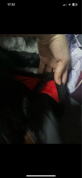 Fursuit furry kigurumi Bat-wolf emo