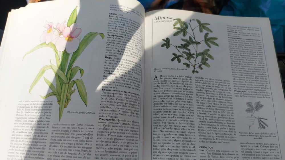 O Grande Livro das Plantas do Interior