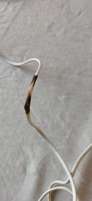 Моторний блок Silver crest з насадками без перехідника