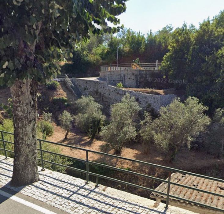 Terreno rústico com oliveiras