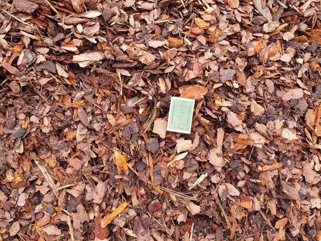 Kora sosnowa luzem kompostowana  borówka torf