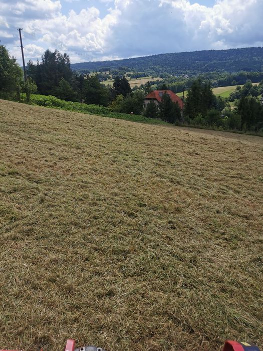 Prace rolnicze rolne, koszenie