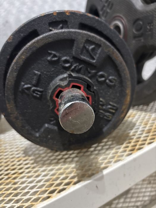 Halteres varios439919751139184641