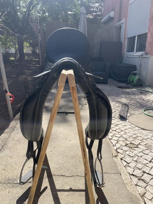 Sela Lexhis KLL Dressage