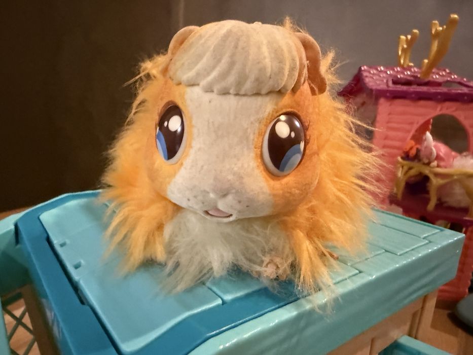 Świnka morska Little Live Pets