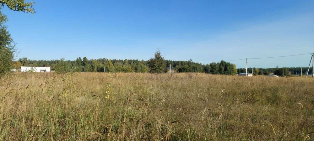 Біля лісу, Старі Петрівці, 11.5 соток для будівництва