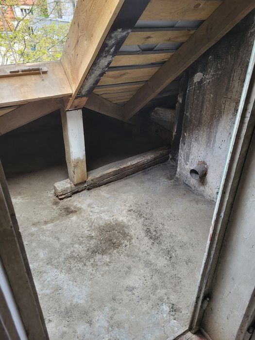 Sprzatania po gołebiach strychów sprzatnia piwnic  balkonów