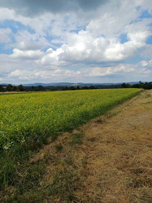 Widokowa działka w górach z widokiem na Kotlinę Sadecką oraz na Tatry - Widok 5