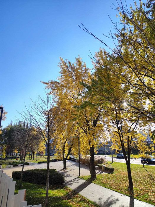 Продаж квартири ЖК Метрополіс