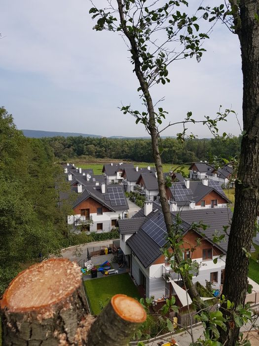 Wycinka drzew frezowanie pni