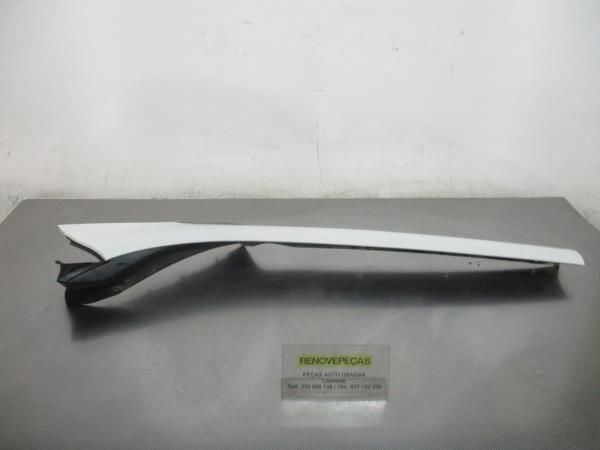 Friso / Frisos RENAULT Scénic III (JZ0/1_)