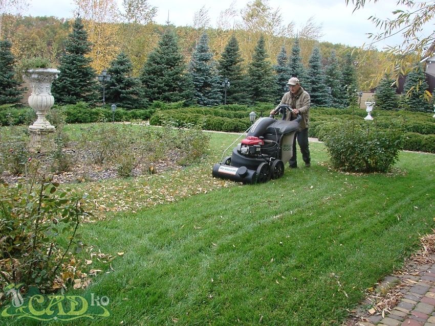 Догляд за садом, газоном, квітниками, обрізка, стрижка, озеленення