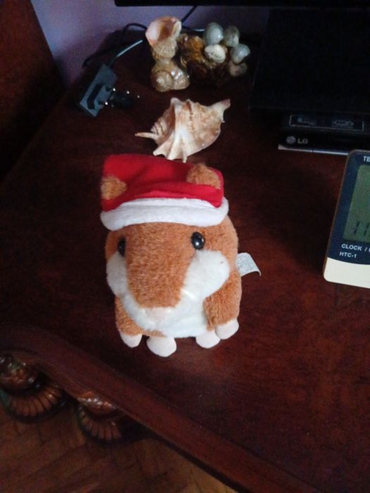 Продам хом'ячка.