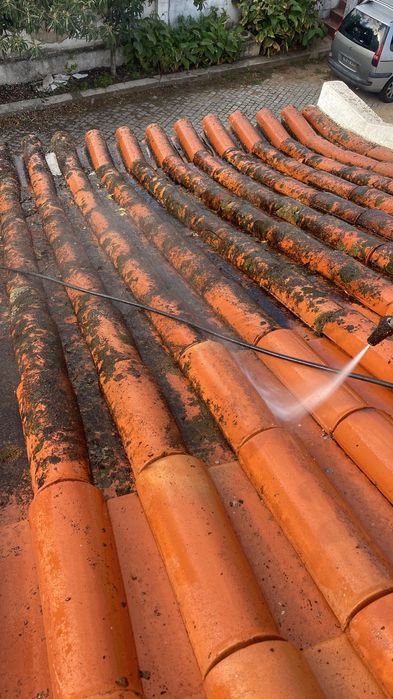 Limpeza de terrenos e pinturas