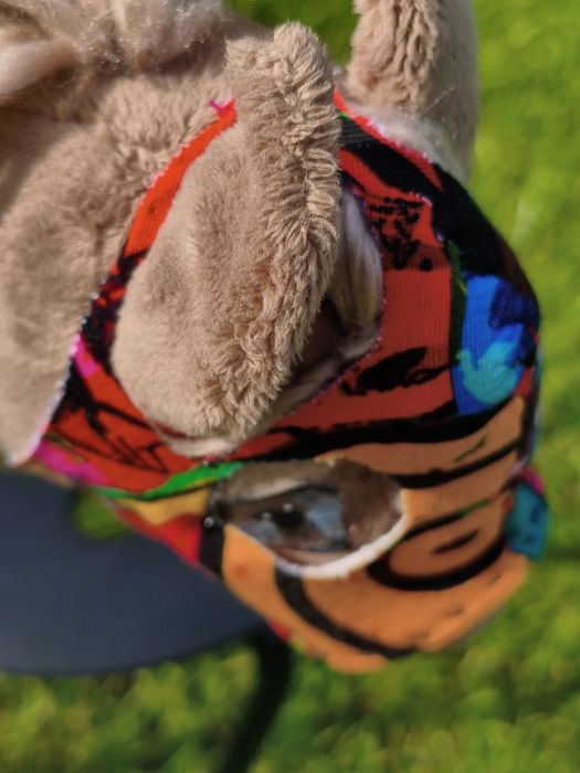 Zestaw dla hobby horse A5+ - Maska wyścigowa + języczek
