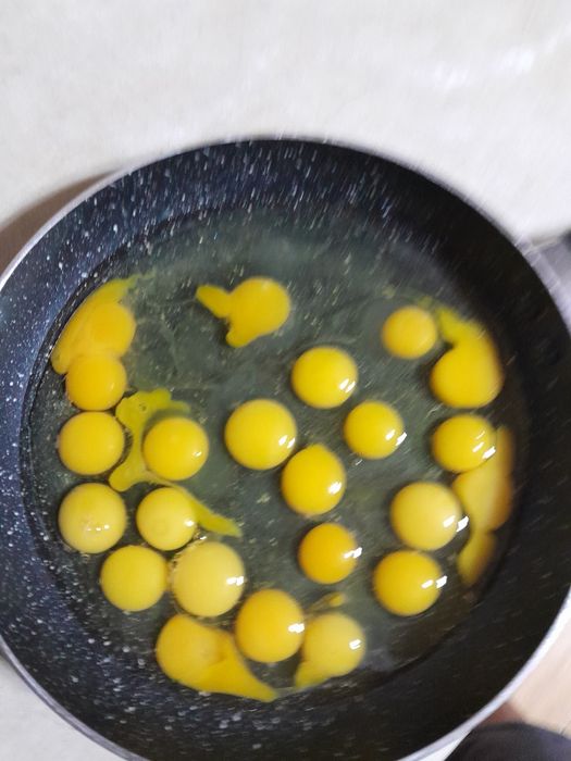 Sprzedam jajka przepiórcze