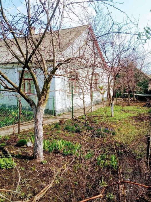 Частина будинку в смт Квасилів