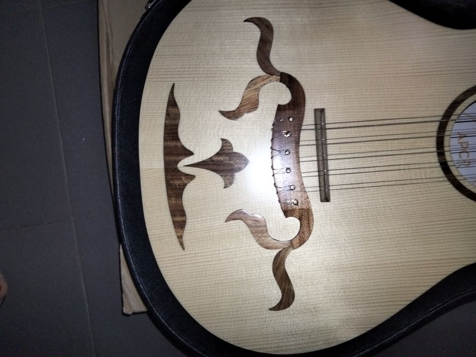 Bragançan Viola Kit with Case64730172837378124