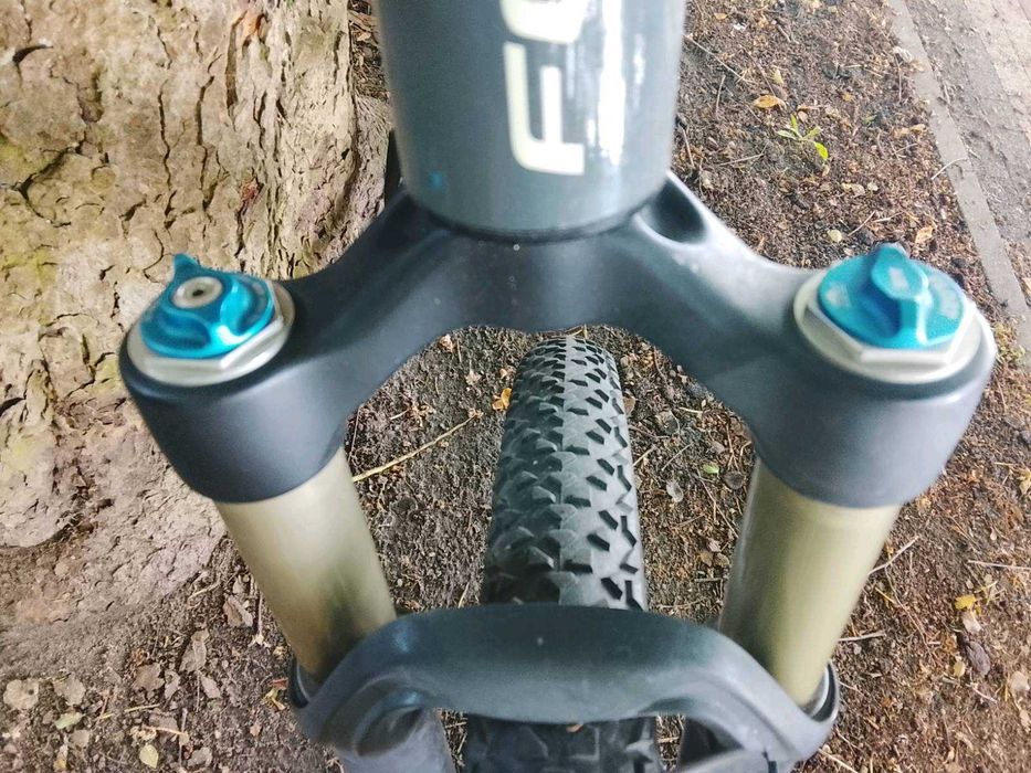 MTB Fokus black forest