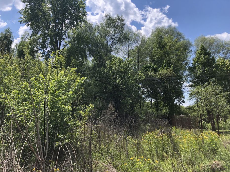 Продам будинок з земельними ділянками в с Євминка.