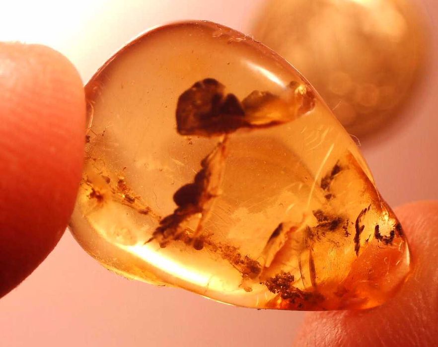 Bursztyn inkluzja Babie lato ? pajęczyna ? 40 mln lat Eocen
