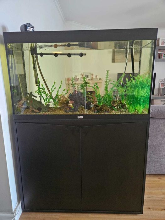 Aquario com armario e filtro