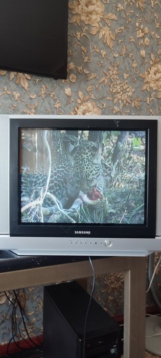 Телевізор SAMSUNG 21 D