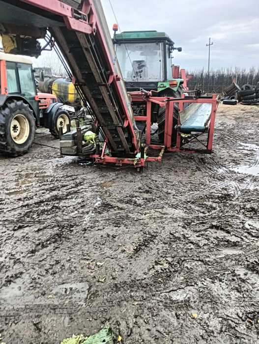 Taśmociąg do zbioru kapusty