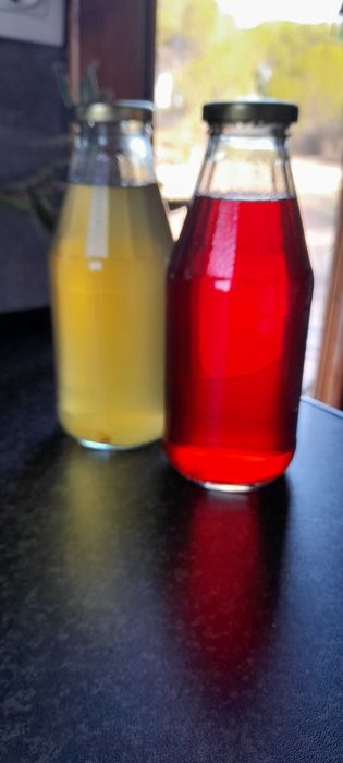 Alimentação ancestral