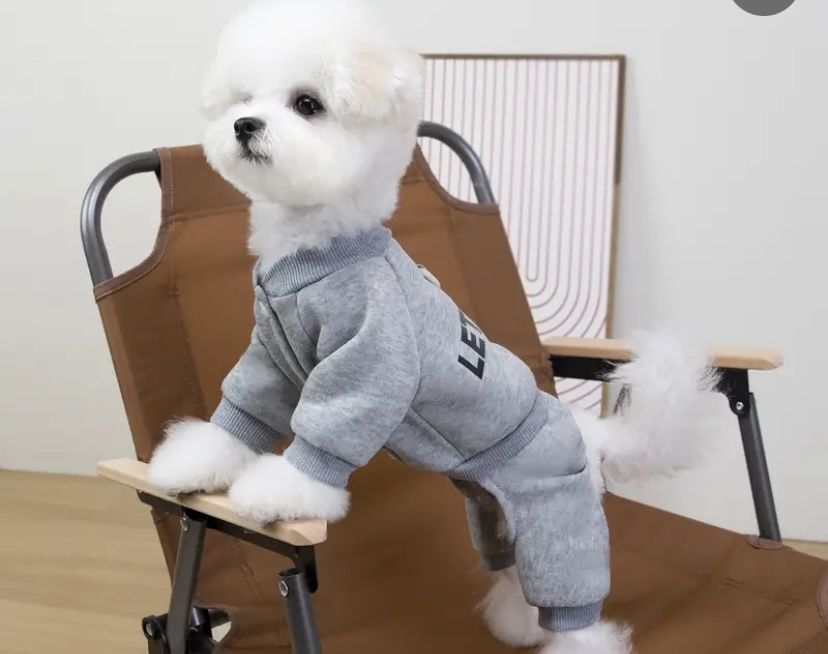 Комбинезон для собак S