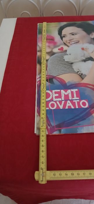 Lote posters Demi Lovato