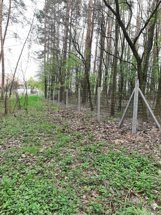 Ogrodzenie siatka leśna słupek betonowy
