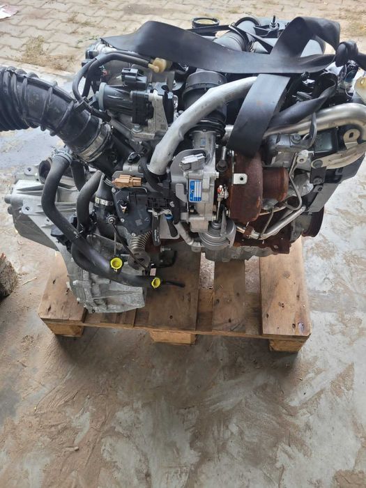 Silnik 1,5 Dci K9k 646 k9k 608  k9k 892 k9k 622Renault Nissan Dacia