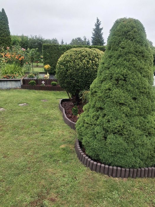 Działka rekreacyjna!   Domek!   Ogród!   Bardzo zadbana - Widok 2
