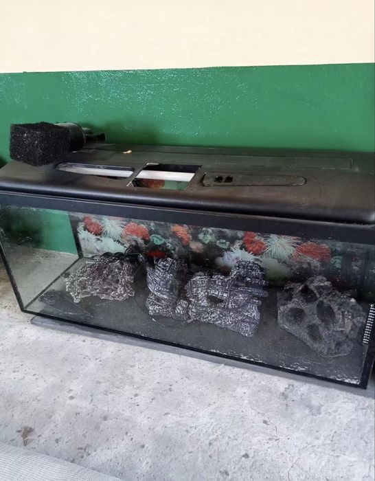 Akwarium 300l.