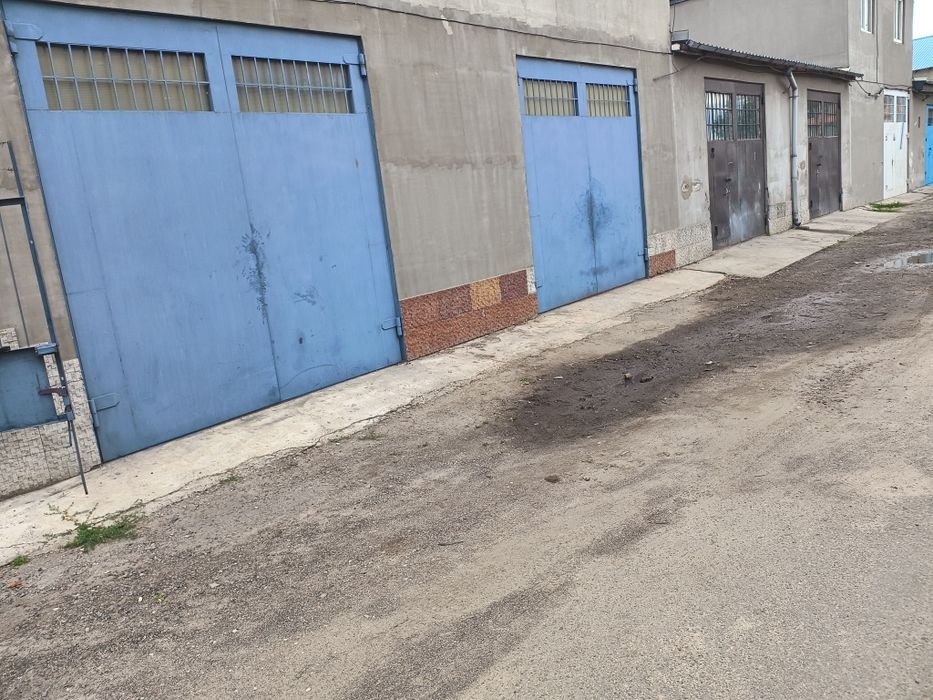 Здам бокси в оренду під СТО