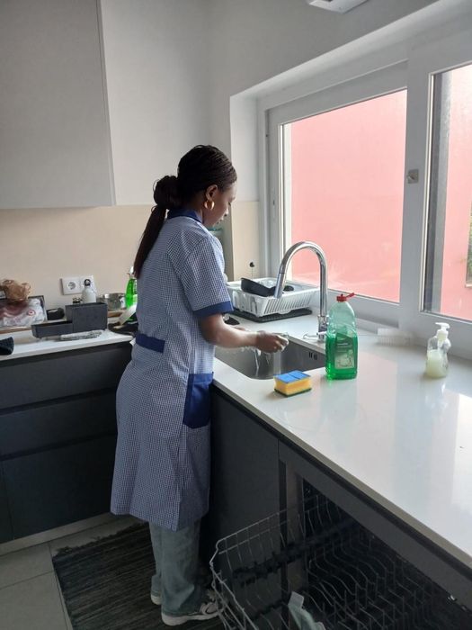 Serviços de Limpezas doméstica e Comercial| Cleaning Services