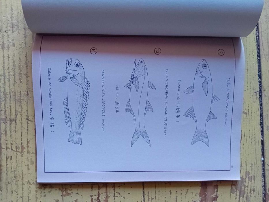 Catalogo dos Peixes Comestiveis de Macau