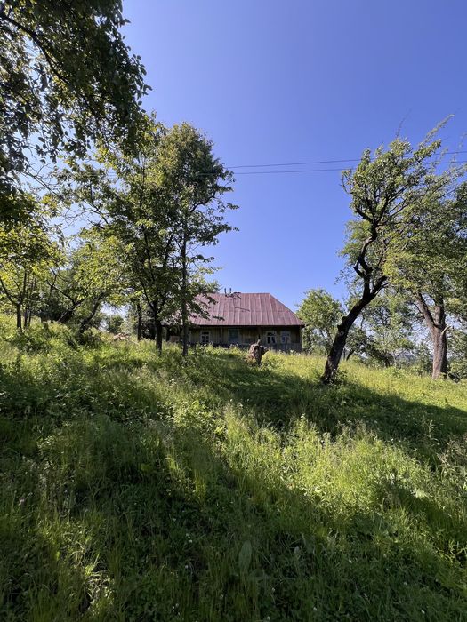 Продам ділянку в горах з гарним краєвидом