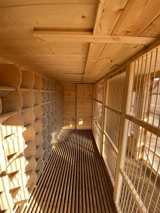 Sprzedam tanio gołębniki solidne