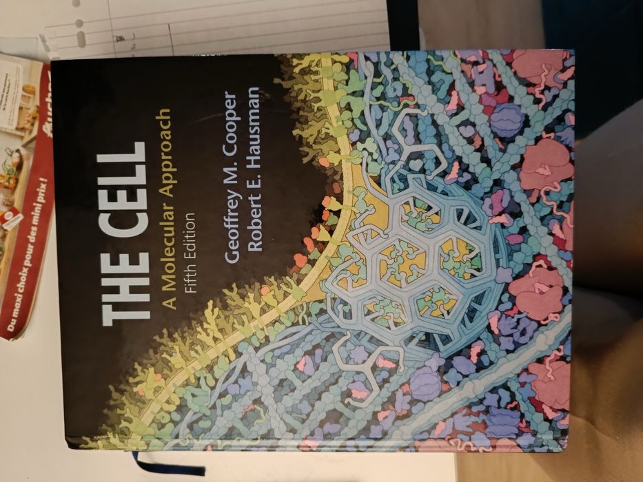 The cell :  A Molecular approach