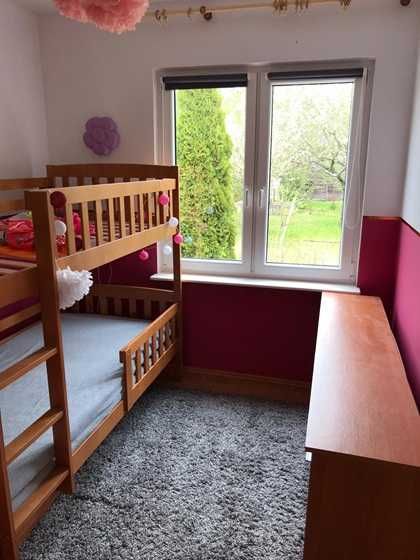 Działka ROD 384 m² z domkiem 39 m² | 250 m od jeziora | Prądocin | 195 000 zł - View 3