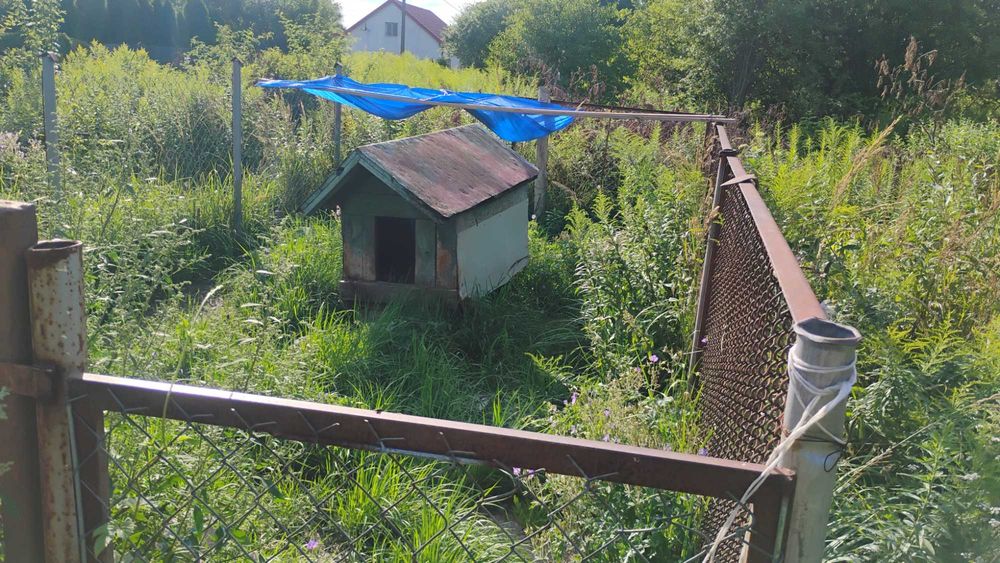 Kojec dla psa z budą