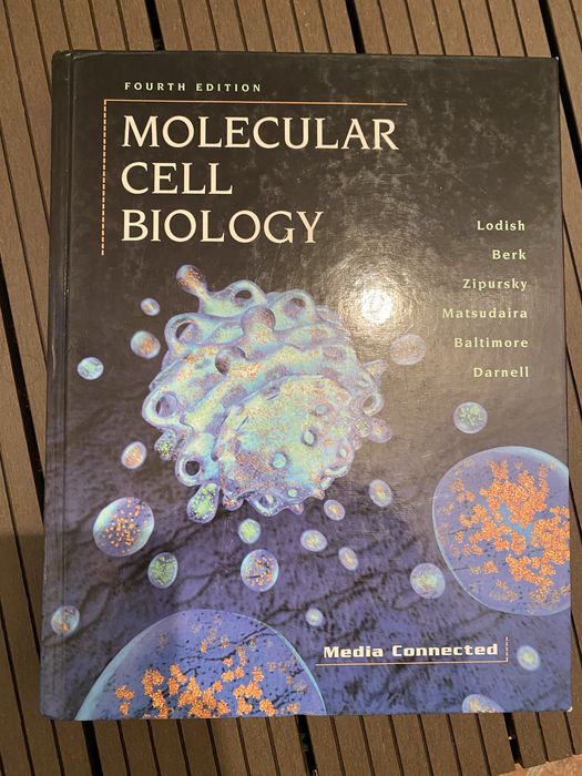 Molecular Cell Biology