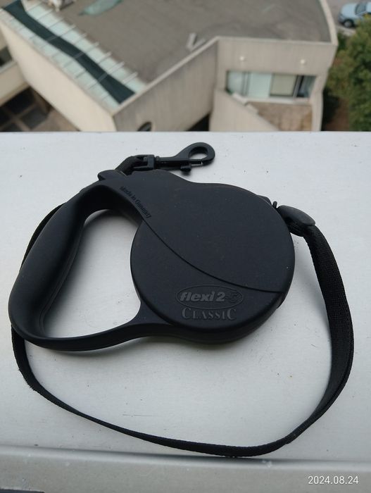 Trela extensível e açaime