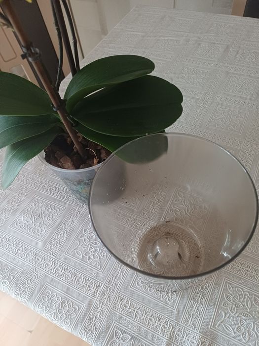 Doniczka  do storczyków