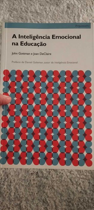 A inteligência emocional na educação