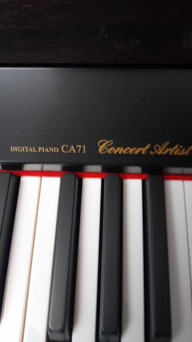 Pianino elektryczne Kawaii CA 71