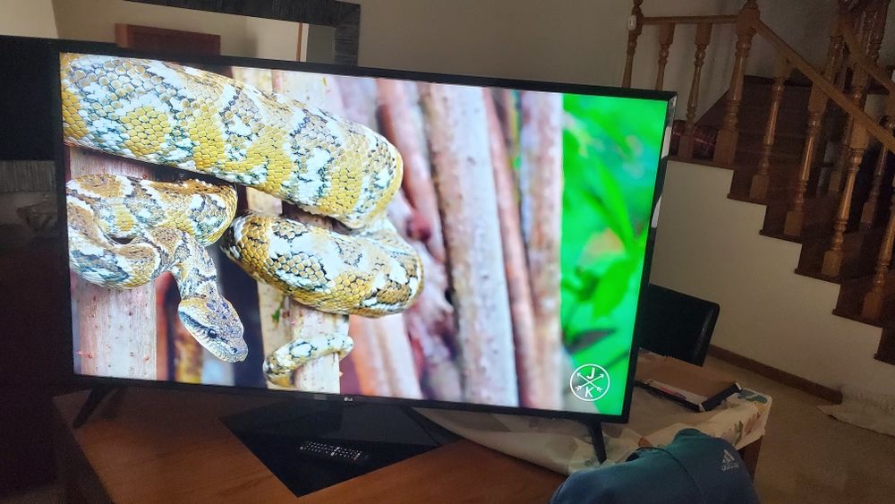 Smartv LG 60 polegadas 4k