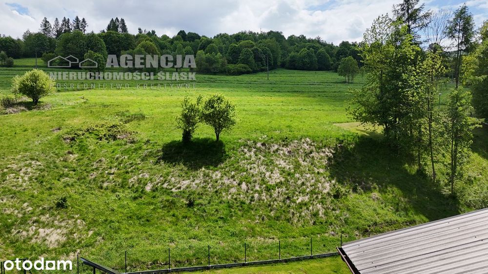 Cisza, spokój, natura, widoki!